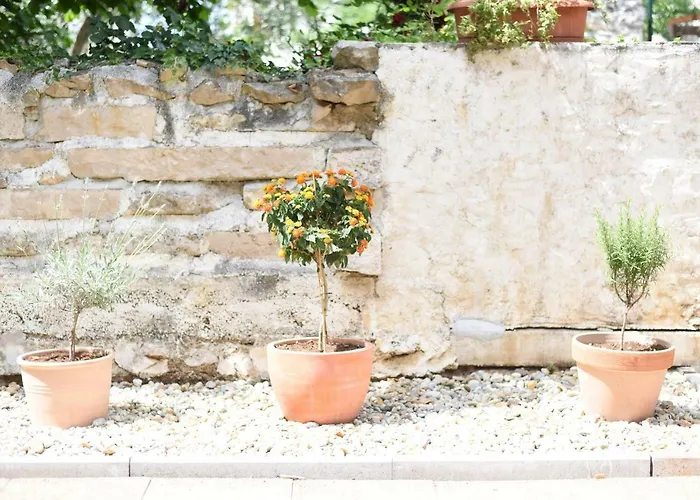 Апартаменты Oasi